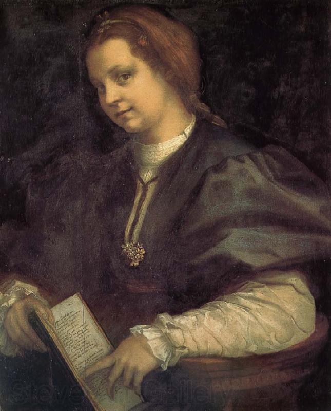 Andrea del Sarto Take the book portrait of woman